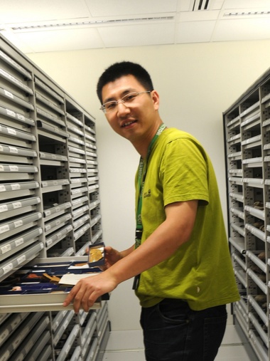 西北大學創新論壇第一千八百零一講：蟲鳴鳳舞伴花香：現代陸地生態系統的起源